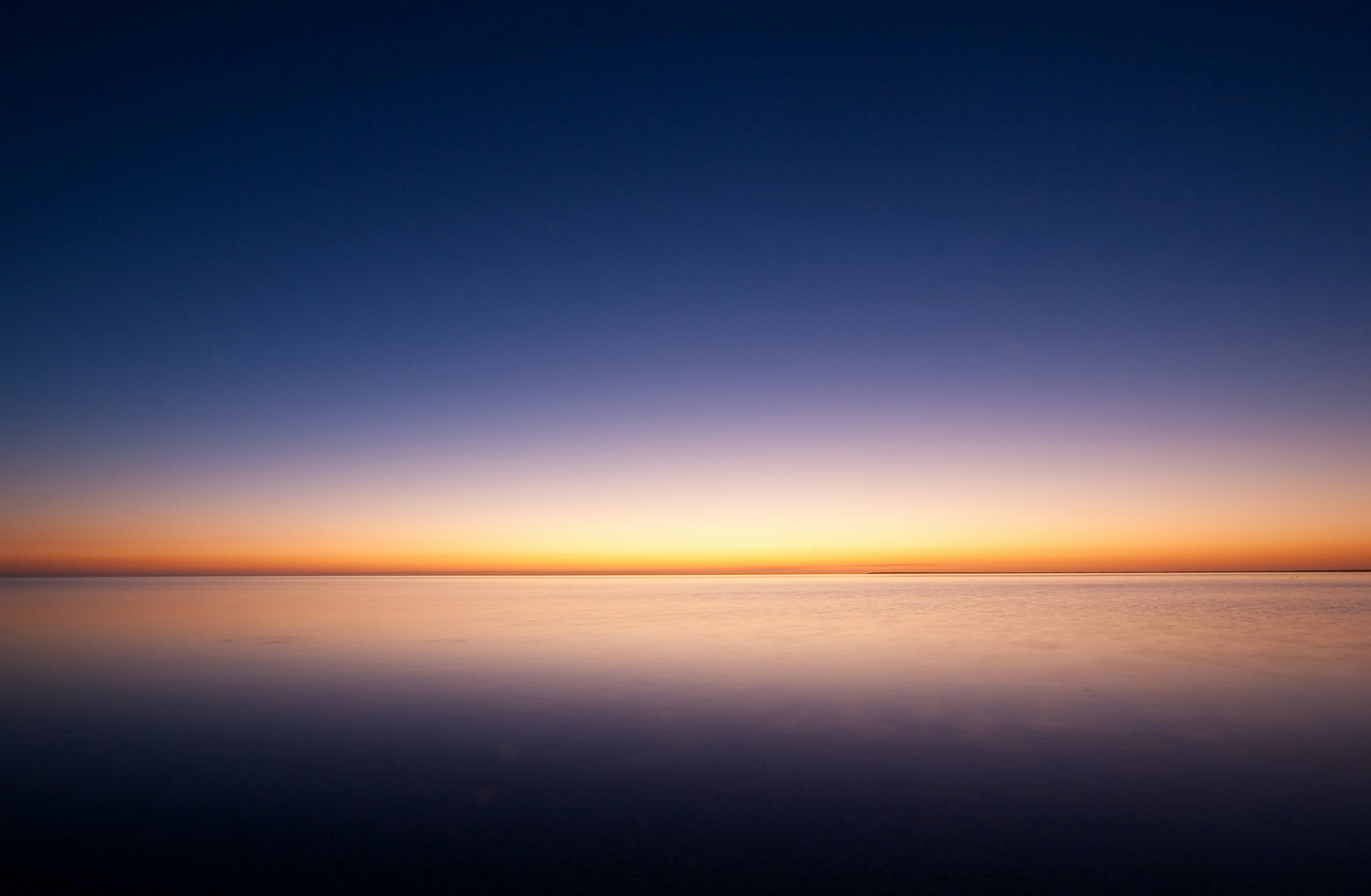 The Light – The Quick and the Dead